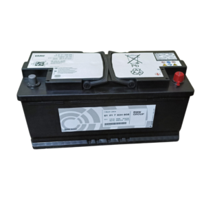 AGM 105 BMW OEM Car Battery